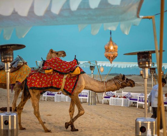 Samarambh decoration in Jaisalmer Image 4
