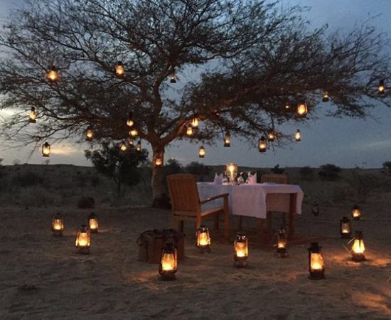 Samarambh decoration in Jaisalmer Image 6